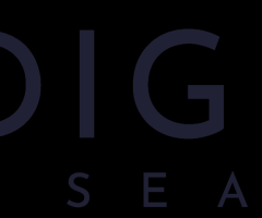 WordPress Web Developer